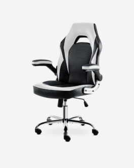 Height Adjustable Desk